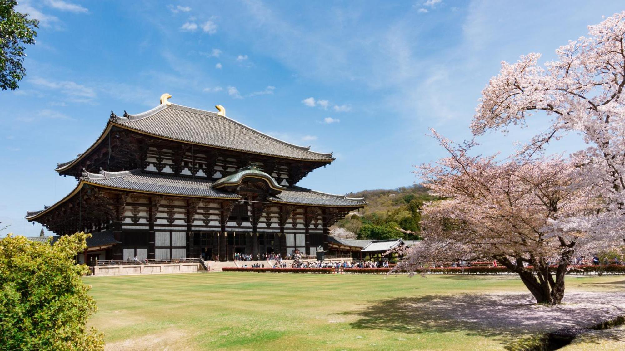 Comfy Stay Sarusawaike 奈良市 エクステリア 写真